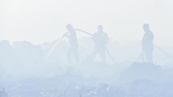 Rupa-rupa Kebakaran Hutan dan Lahan di Sumatera