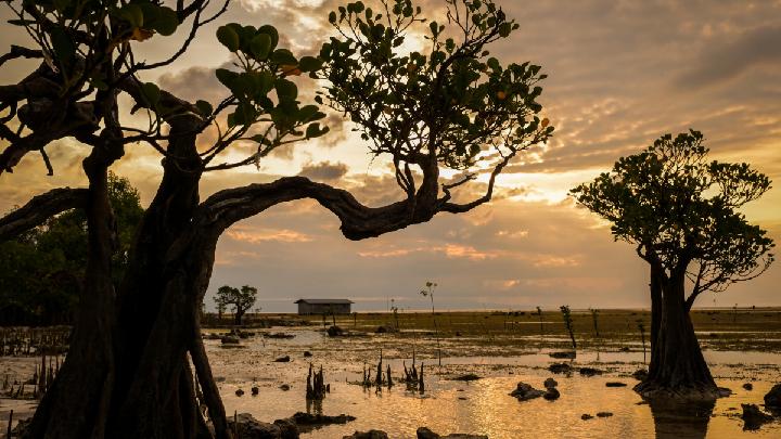 Best Time to Visit Indonesia: 2026 Travel Guide