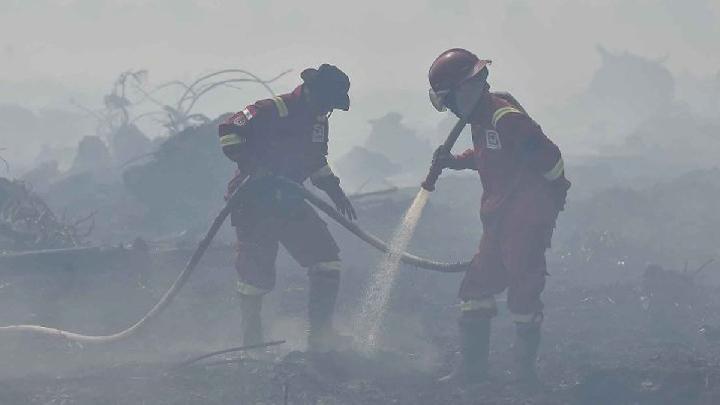 Man Killed in Spain Wildfire as Heatwave Rages in Europe