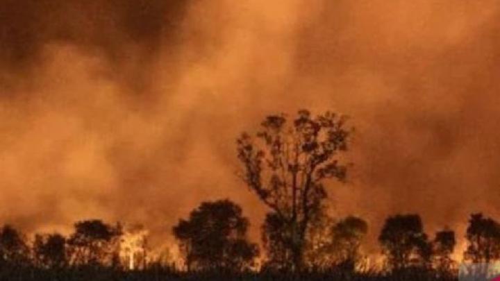 1,287 Hotspots Recorded in South Sumatra This July, Ogan Ilir Designated as Red Zone for Forest and Land Fires