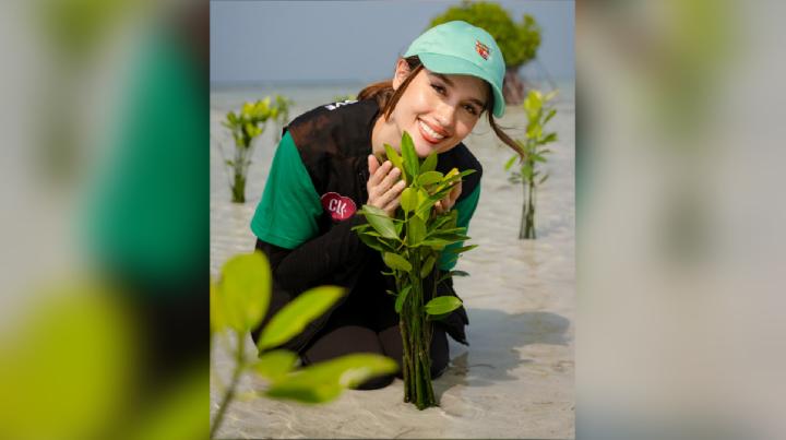 Cinta Laura Menanam Bibit Mangrove di Pulau Pari, Ini Harapannya
