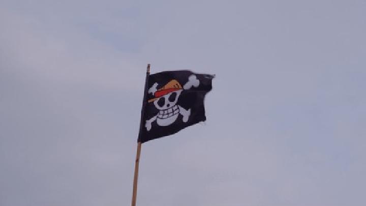 Raising One Piece Flag Cannot Be Prosecuted Under Current Laws: Legal Experts