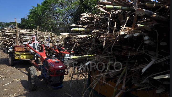PTPN I Perluas Lahan Tebu untuk Swasembada Gula