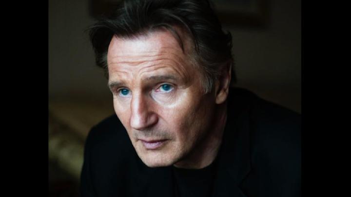 Liam Neeson's 7 Notable Films Besides The Naked Gun