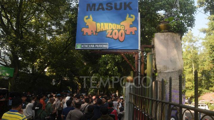 Mengapa Pengurus Gembira Loka Tertarik Kelola Bandung Zoo