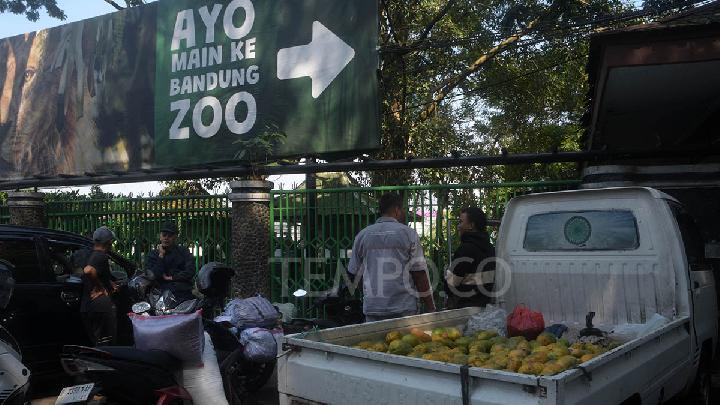 City Seeks New Operator for Bandung Zoo via Beauty Contest