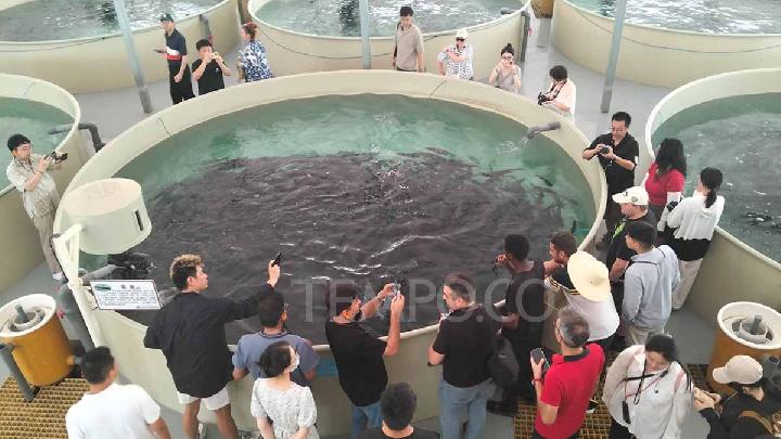 Teknologi Budidaya Ikan Air Tawar di Cina Mempercepat Masa Panen