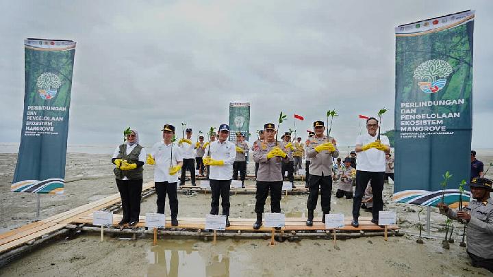 Tanam Mangrove di Kalbar, Kapolri Dorong Komitmen Jaga Lingkungan