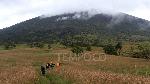 Savanna landscape from the Sembalun climbing post to the summit of Mount Rinjani, Lombok, West Nusa Tenggara, May 12, 2012. Doc. Tempo/Aris Andrianto