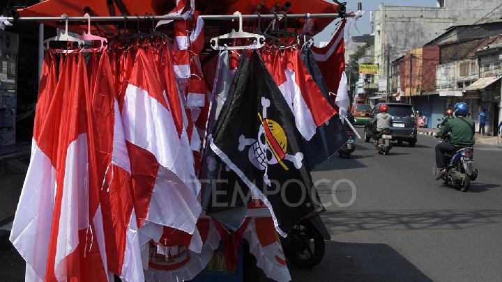 Why so Afraid of One Piece Flag