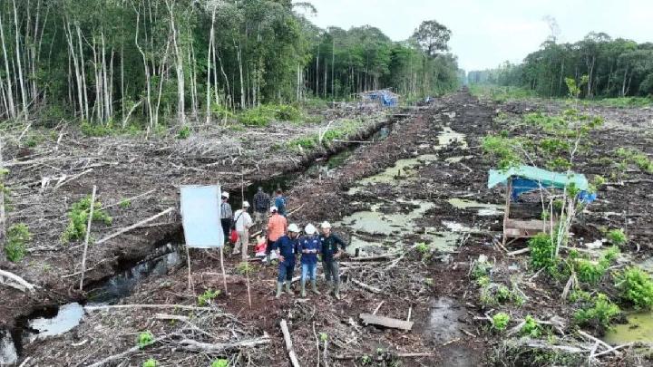 Orman Bakanlığı, Tapanuli’de Ormanları Yok Ettiğinden Şüphelenilen 12 Şirket ve Kişiye Soruşturma Başlattı