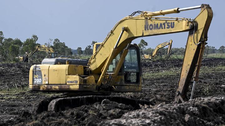 Prabowo's Plan for Palm Oil Self-Sufficiency