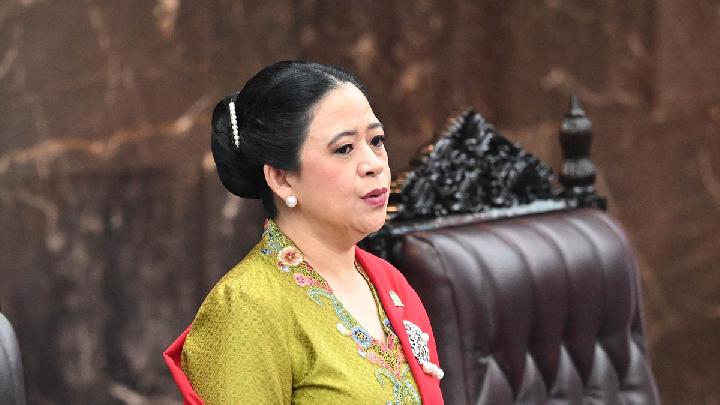 Indonesian House Speaker Views One Piece Flag as Creative Public Dissent