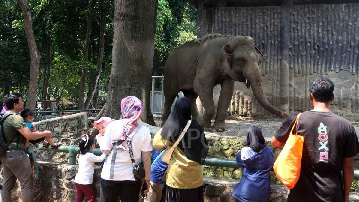 Wisata Malam Ragunan, Ini Harga Tiket dan Cara Membelinya