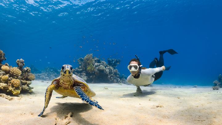 Sara Jeyning porno kontserti