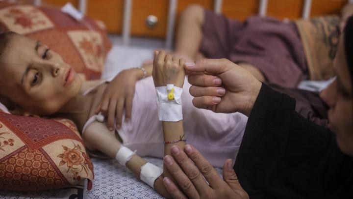 185 Gazans Killed by Famine in August, Highest Monthly Toll Since Israeli Genocide