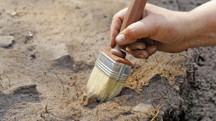 Ancient Panda-Sized Sea Cow Fossil Found in Qatar