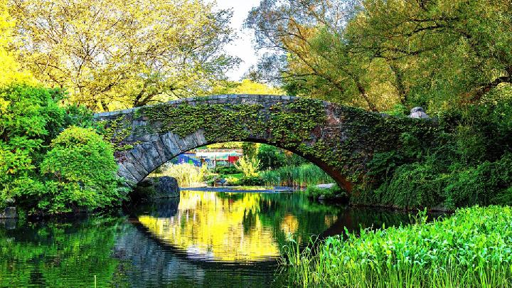 Central Park Ranked as Top Tourist Attraction in the US