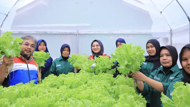 Pertamina Dorong Ketahanan Pangan Lewat Program Mapan di Desa Energi Berdikari