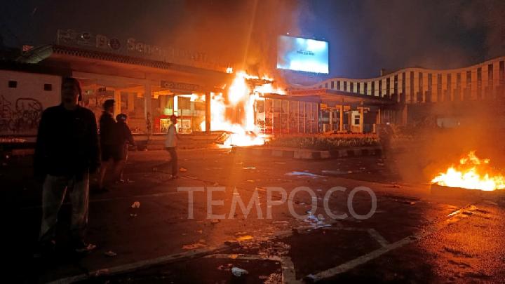 How an Animal Shelter Rescues Stray Cats Injured in the Jakarta Riots