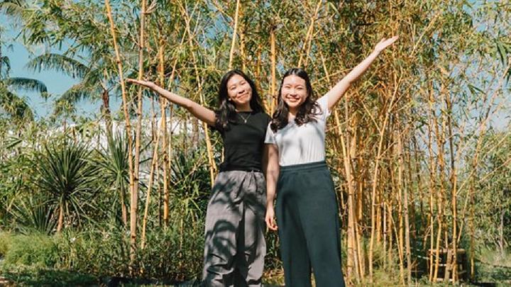 Uniknya Taman Bambu Luar Ruangan di Bandara Changi