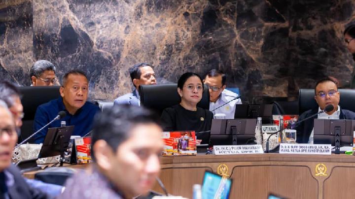 House Speaker Says Bali Floods "Test" Govt Capacity to Protect Citizens