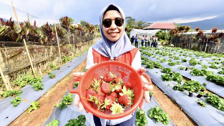 Pertamina Berdayakan Desa Rantau Dedap dengan Energi Bersih dan Wisata Edukasi