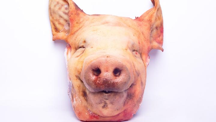 Muslim Cemetery in Sydney Vandalized With Pig Heads Following Bondi Shooting