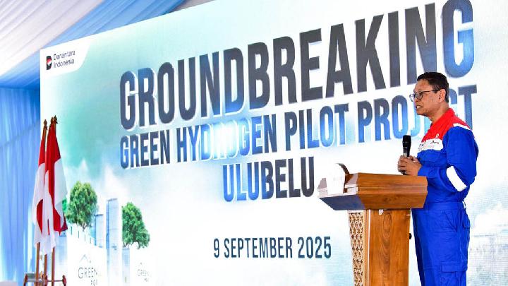 Green Hydrogen Is Game Changer in Energy Transition, Says Deputy Minister of Energy