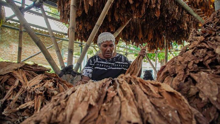 Rukki Beberkan Sederet Kebijakan Pro Tembakau dari Pemerintah