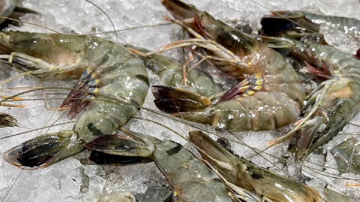Indonesian Shrimp Exports to US Resume Following FDA Dispensation