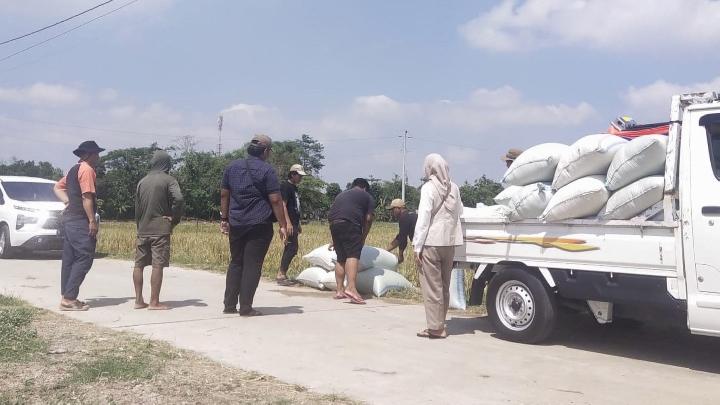Bulog Pastikan Stok Beras di Jateng Aman hingga Lebaran 2026
