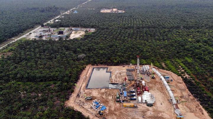 Papua Disiapkan Jadi Sentra Energi, Pemerintah Dorong Pemerataan Manfaat