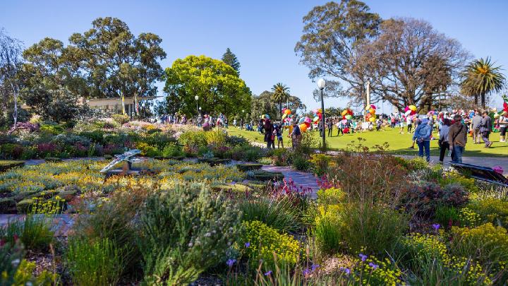 Perth Travel Guide: When to Go, How Long to Stay, and What Not to Miss