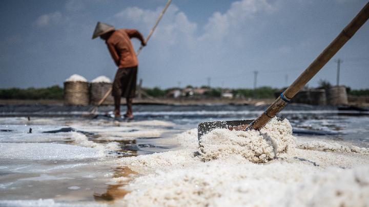 Produksi Garam Nasional Anjlok 50 Persen