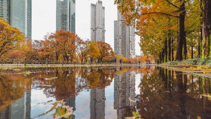 Descubra a Coreia no Outono: 3 Experiências Imperdíveis para Viajantes!