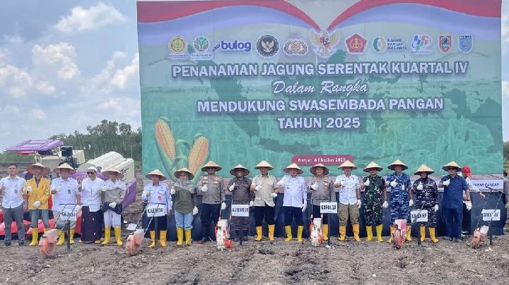 Gubernur Kalsel Dukung Penanaman Jagung Serentak Dorong Swasembada Pangan