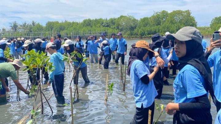 Pantai Pasir Mendit, Wisata Hutan Mangrove di Kulon Progo Yogyakarta
