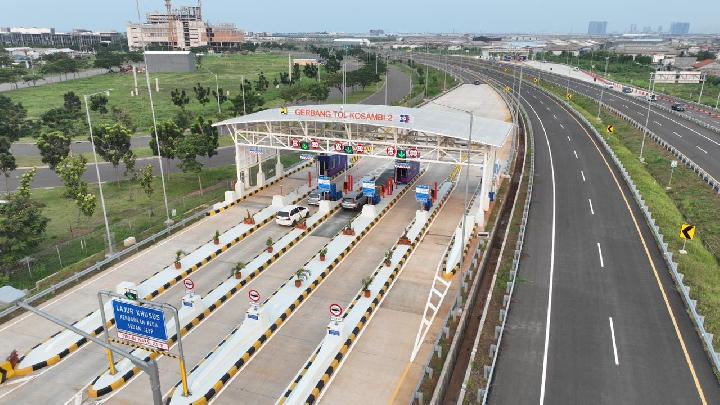 Katta kokrakli tola ayolning fotosurati