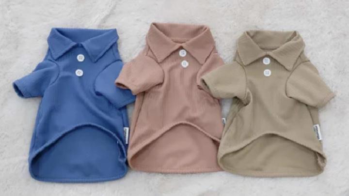 5 Pilihan Baju yang Bikin Anabul Semakin Menggemaskan
