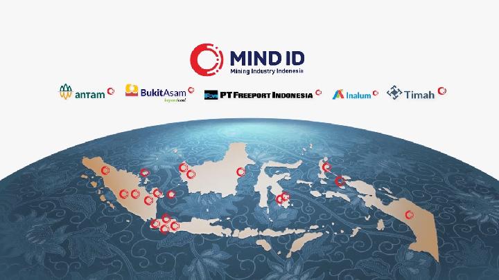 Hasil Transformasi MIND ID