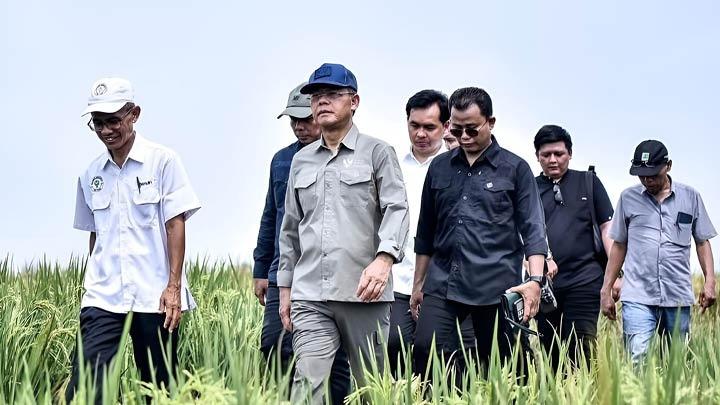 Membangun Indonesia Tahan Pangan