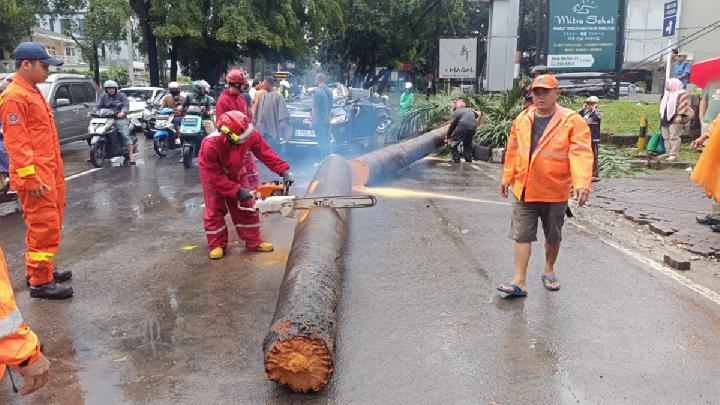 Pramono Instruksikan Pohon Rawan Tumbang Dipasang Penyangga