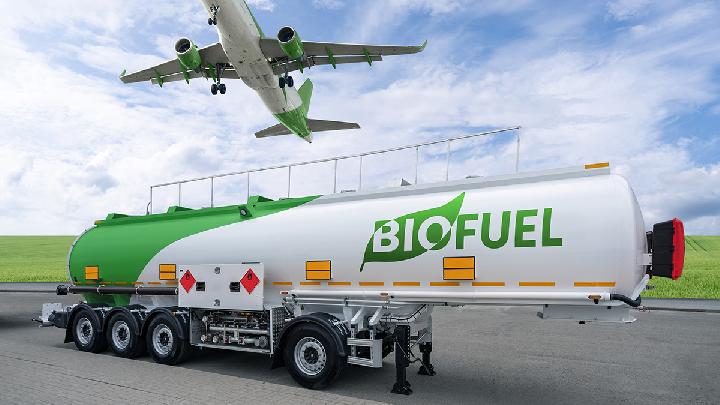 Over 100 Scientists Urge Halt to Biofuel Expansion Ahead of COP30