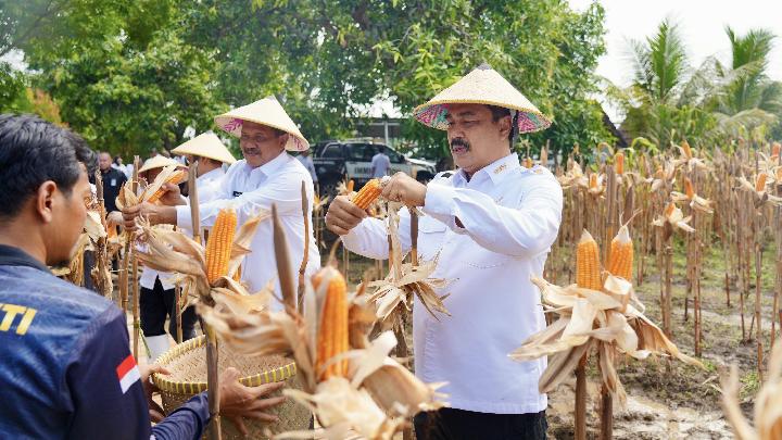 Kemenimipas’ın Gerçek Katkısı Ulusal Gıda Güvenliğini Güçlendiriyor