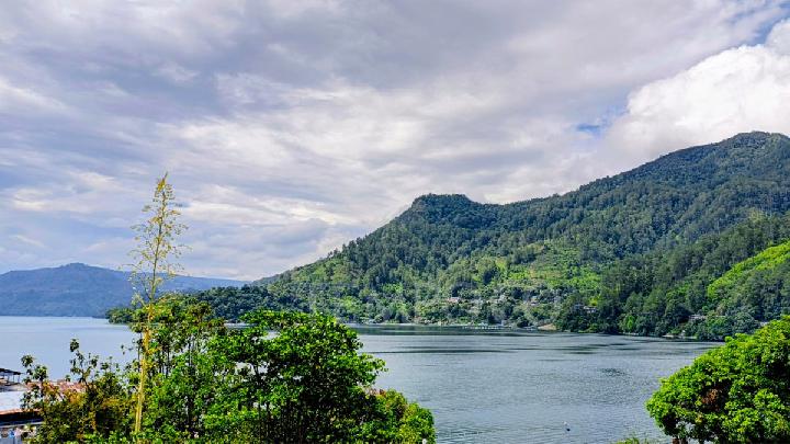 Penurunan Muka Air Danau Toba Picu Kematian Massal Ikan