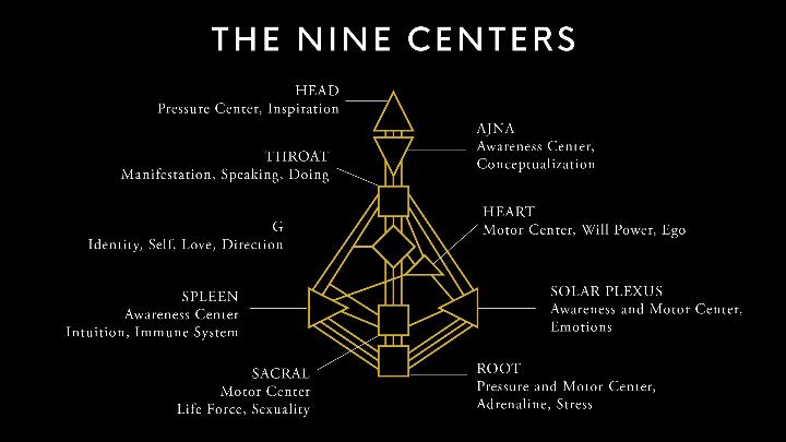 Human Design Chart: Peta Energi Diri dan Cara Memahami "Desain" Unik Setiap Manusia