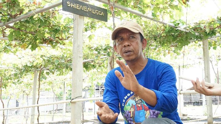 Tarım reformuyla yükselen ve gelişen Duyu üzüm çiftçilerinin hikayesi