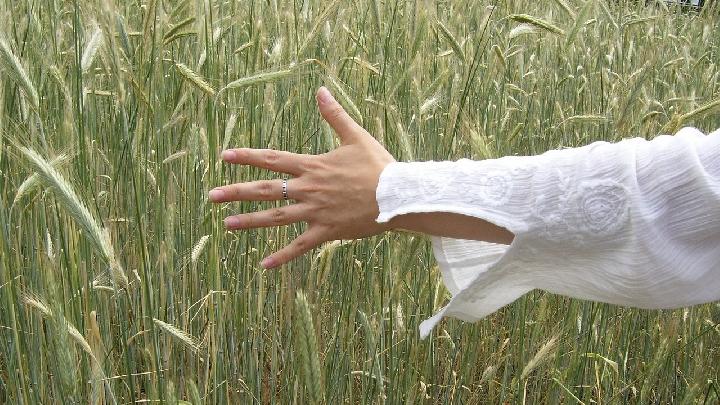 Study Finds Humans May Have a Hidden Seventh Sense: Remote Touch