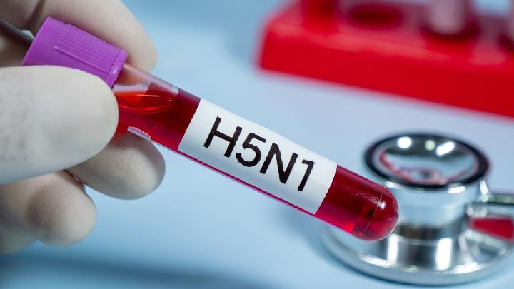 Virus Has Killed Almost 9 Million Birds and Counting